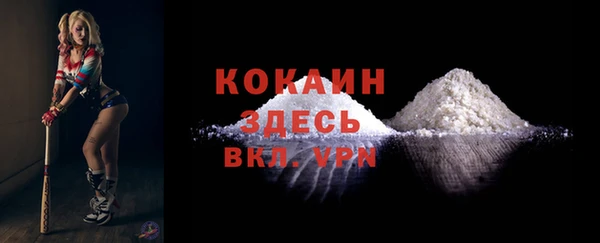 spice Карпинск
