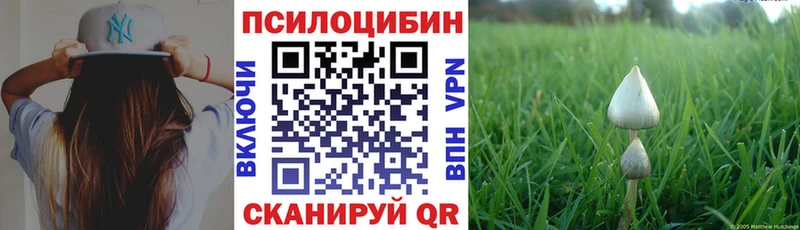 Псилоцибиновые грибы прущие грибы Макарьев