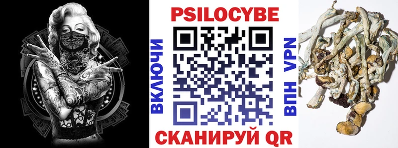 Псилоцибиновые грибы Psilocybine cubensis  Купить где  Макарьев 